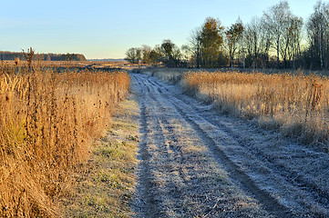 Image showing Rural landscape with autumn frost