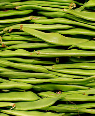 Image showing Green Beans Background