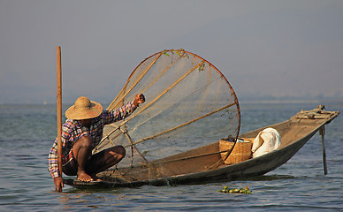 Image showing Fishing on Inle Lake