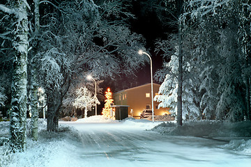 Image showing Christmas tree outdoor.