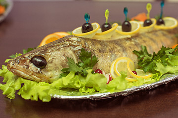 Image showing zander fish