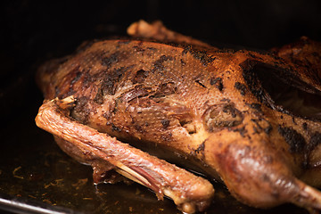 Image showing roasted goose 