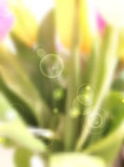 Image showing Spring background. Blurred tulips bouquet