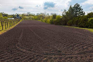 Image showing Cultivated land closeup