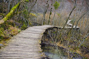 Image showing Wooden path trough the lakes