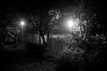 Image showing Creepy park at night with illumination