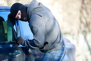 Image showing car thief