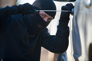 Image showing car thief