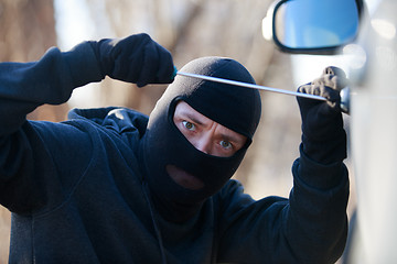 Image showing car thief