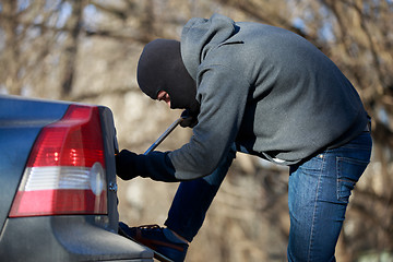 Image showing Car thief