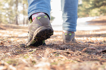 Image showing walking