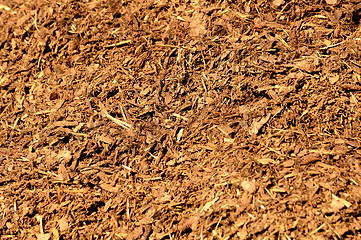 Image showing Bark mulch 