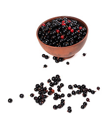 Image showing Blackcurrants and redcurrants in ceramic bowl