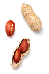 Image showing Peanuts on white background