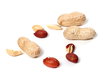 Image showing Peanuts on white background