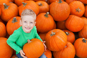 Image showing kid at pumpkin patch