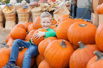 Image showing kid at pumpkin patch