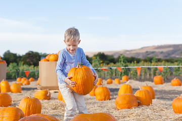 Image showing kid at pumpkin patch