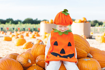 Image showing kid at pumpkin patch