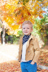 Image showing kid at fall