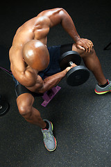 Image showing Bench Bicep Curls