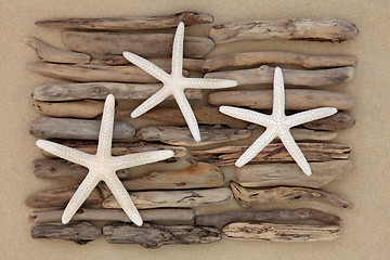 Image showing Starfish