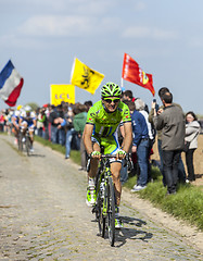 Image showing Alan Marangoni - Paris Roubaix 2014