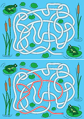 Image showing Frogs Maze