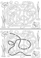 Image showing Frogs Maze