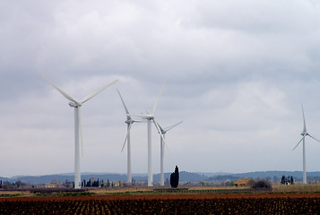 Image showing Wind Turbines