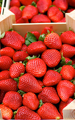 Image showing Strawberries