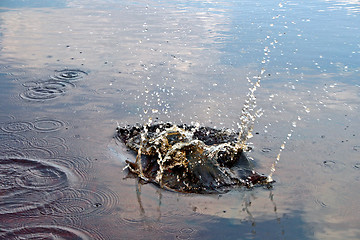 Image showing Splash