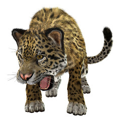 Image showing Jaguar