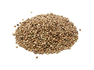 Image showing Hemp seeds