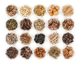 Image showing Chinese Herbs