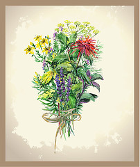 Image showing Illustration Spicy and curative herbs. Collection of fresh herbs