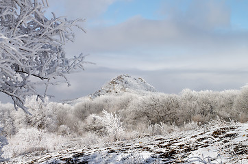 Image showing Winter Landscape