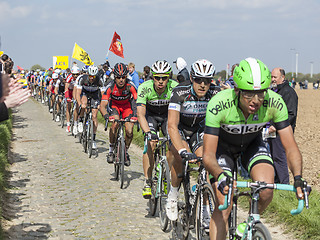 Image showing The Peloton- Paris Roubaix 2014