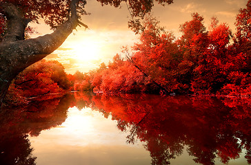 Image showing Red autumn on river