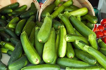 Image showing Green Zucchini Squash