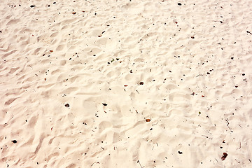 Image showing beach sand
