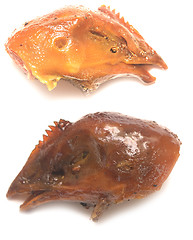 Image showing chicken heads