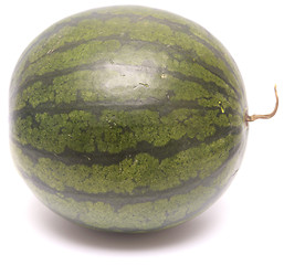 Image showing whole watermelon