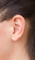 Image showing woman ear