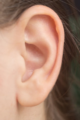 Image showing woman ear