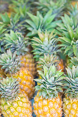 Image showing pineapples