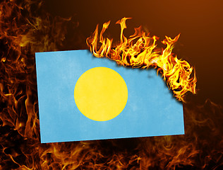 Image showing Flag burning - Palau