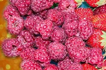 Image showing Berry raspberries