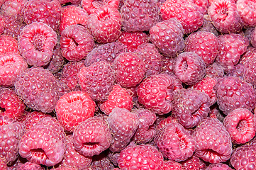 Image showing Berry raspberries