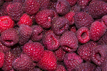 Image showing Berry raspberries